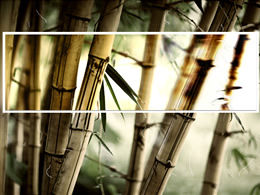 Șablon de peisaj natural de distracție din bambus