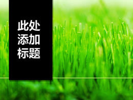 Plantilla ppt de hierba verde de brote de título vertical negro