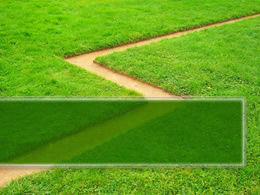 Rumput hijau dan template alam PPT jalan