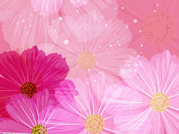 10张美丽的紫色花瓣PPT背景图片下载