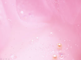 10 rosa erfrischende PPT Hintergrundbilder Paket herunterladen