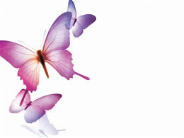 아름다운 보라색 나비 PPT 템플릿