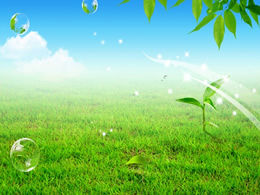 Grama verde céu azul folhas verdes bolha primavera modelo de ppt