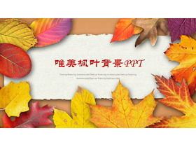 Goldene gefallene Blätter Hintergrund PPT Vorlage