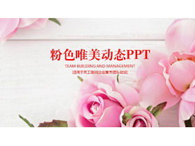 Plantilla PPT de fondo rosa hermosa rosa