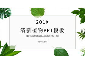 Modello PPT di sfondo foglia di pianta verde fresca