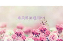 韓國PPT模板與粉紅玫瑰花朵背景