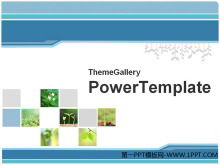 48 plants PPT template packaging