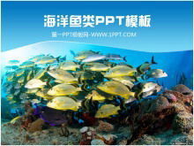 เทมเพลต PPT สำหรับโรงเรียนสอนปลาโลกใต้ทะเลที่สวยงาม