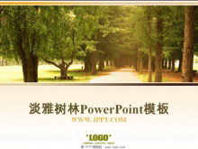 Park Woods Hintergrund PowerPoint-Vorlage herunterladen