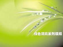 Zielone tło roślin orzeźwiających Szablony prezentacji PowerPoint