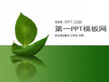 シンプルな葉の背景植物PPTテンプレートのダウンロード