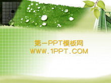 الورقة الخضراء خلفية النبات تحميل قالب PPT