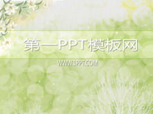 Elegant flower background PPT template download