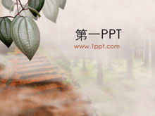 葉の背景PPTテンプレートのダウンロード