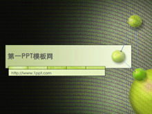 数字网络技术PPT模板下载