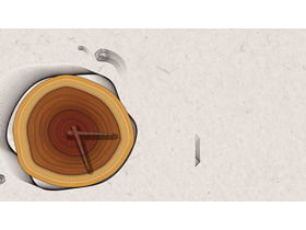 Brown tree rings PPT background image free download