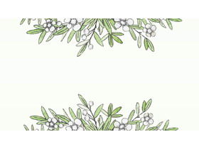 Four watercolor green leaves and white flower plants PPT background pictures