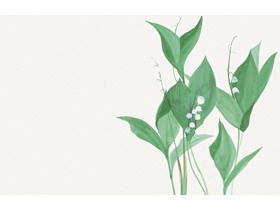 Zwei frische Aquarellpflanzen und grüne Blätter PPT Hintergrundbilder