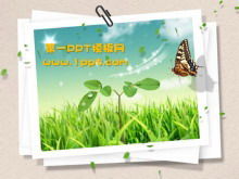 Plantilla de fondo de diapositiva de hierba verde mariposa
