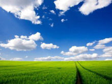 Sunny field PPT background picture download