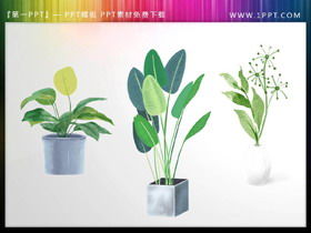 Tre piante bonsai verdi ad acquerello materiale PPT