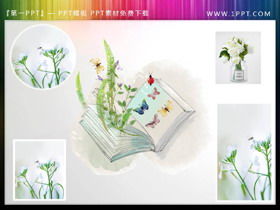Illustrazione PPT della farfalla del libro della pianta verde fresca