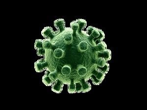 Gambar png gratis Coronavirus (8 foto)