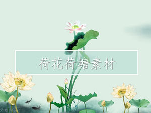 중국 바람이 연꽃 연잎 연꽃 연못 ppt 자료 Daquan 다운로드