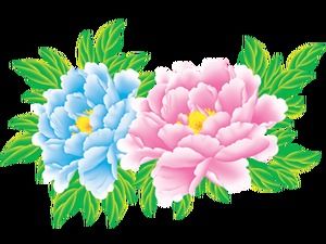 60背景透明牡丹の花png高解像度写真パッケージのダウンロード
