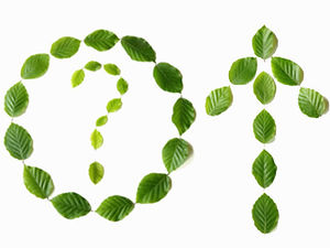 綠葉創意符號環保系列ppt圖片素材