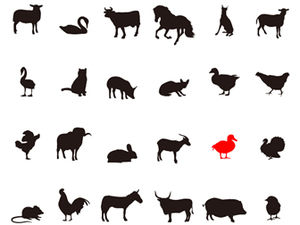 pptはさまざまな動物のクリップアートを描くppt素材（中空動物）