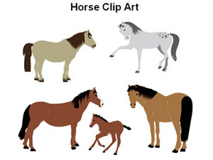 PPT Zeichnungspferd Materialbild des Jahres des Pferdes