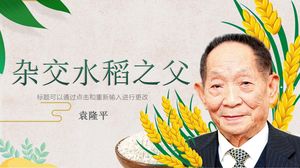 Yuan Longping, o pai do arroz híbrido, modelo de material didático ppt