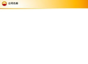 CNPC work report PPT template