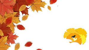 Five exquisite leaves PPT background pictures