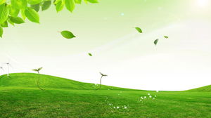 Grasgrünes Blatt PPT Hintergrundbild
