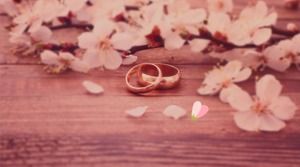 Różowy piękny ślub szablon elektroniczny album fotograficzny ppt