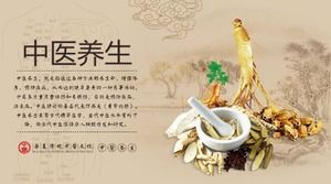 Download del modello PPT della medicina cinese antica