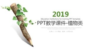 المناهج التعليمية PPT - النباتات - بيولوجيا المدرسة الثانوية