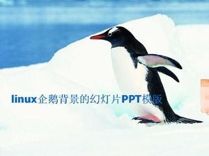 Șablon PPT de prezentare de diapozitive de fundal pinguin Linux
