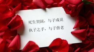 Specjalny szablon slajdów PPT na chińskie Walentynki 2010