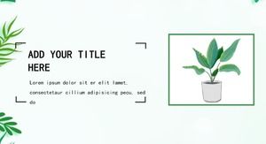 Yeşil küçük taze bitkiler süslenmiş kişisel özgeçmiş yarışması PPT şablonu
