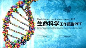 diagram struktur molekul DNA latar belakang template PPT ilmu kehidupan
