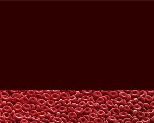 血细胞的PowerPoint模板
