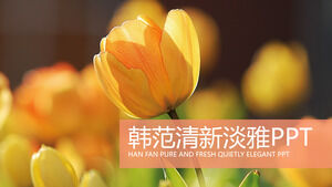 Kreatywne kwiaty Han Fan świeży i elegancki szablon edukacji otwartej klasy PPT