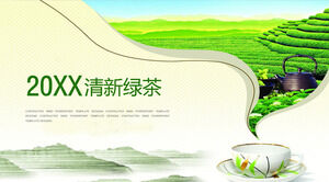 Modello PPT di promozione della cultura del tè verde fresco