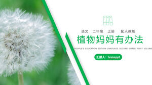 "Bitki annelerinin bir yolu var" Pedagojik versiyon 2. sınıf Çince PPT eğitim yazılımı