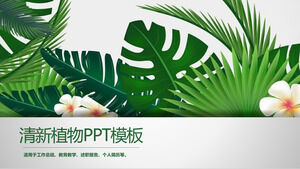 清新醒目的綠色植物PPT模板2