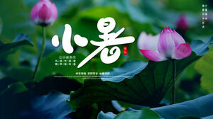 Feuille de lotus lotus saison agricole traditionnelle chinoise petit modèle PPT de bienvenue d'été
